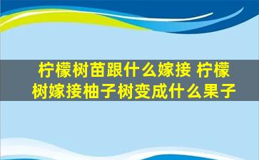 柠檬树苗跟什么嫁接 柠檬树嫁接柚子树变成什么果子